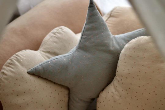 490349848_1300441665145865_2589289081570833430_n